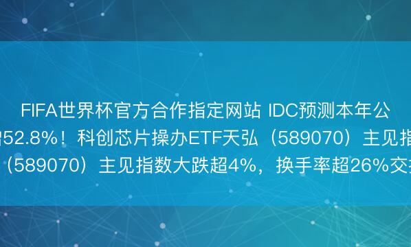 FIFA世界杯官方合作指定网站 IDC预测本年公共半导体收入同比大增52.8%!科创芯片操办ETF天弘(589070)主见指数大跌超4%,换手率超26%交投活跃