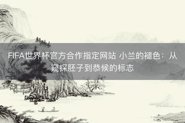 FIFA世界杯官方合作指定网站 小兰的褪色:从窥探胚子到恭候的标志