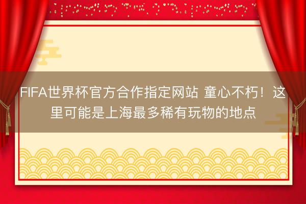 FIFA世界杯官方合作指定网站 童心不朽！这里可能是上海最多稀有玩物的地点