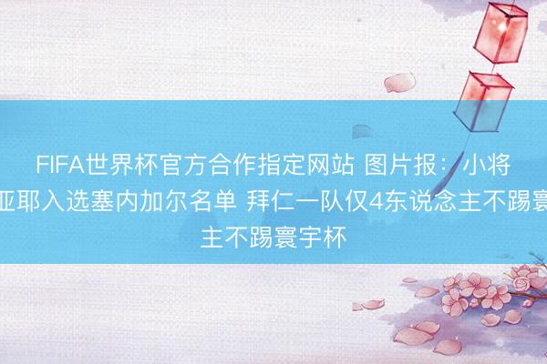 FIFA世界杯官方合作指定网站 图片报：小将恩迪