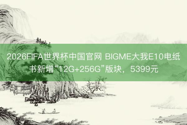 2026FIFA世界杯中国官网 BIGME大我E10电纸书新增“12G+256G”版块,5399元
