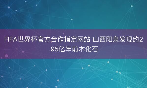 FIFA世界杯官方合作指定网站 山西阳泉发现约2.95亿年前木化石