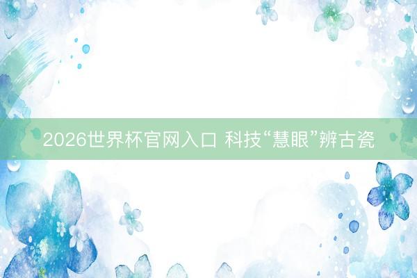 2026世界杯官网入口 科技“慧眼”辨古瓷